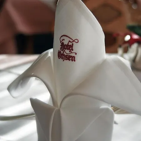 Hotel-restaurant Ochsen 3* בלאובורן