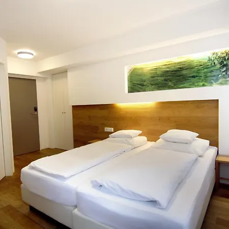 Hotel Hotel-restaurant Ochsen