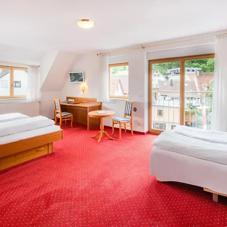Hotel-restaurant Ochsen Hotel