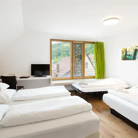 Hotel Hotel-restaurant Ochsen