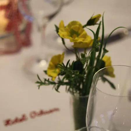 Hotel-restaurant Ochsen Ξενοδοχείο Blaubeuren