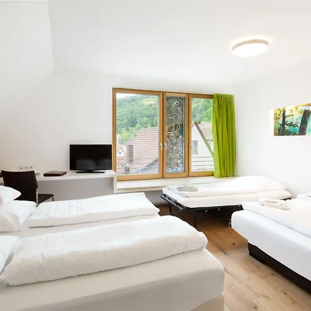 Hotel Hotel-restaurant Ochsen