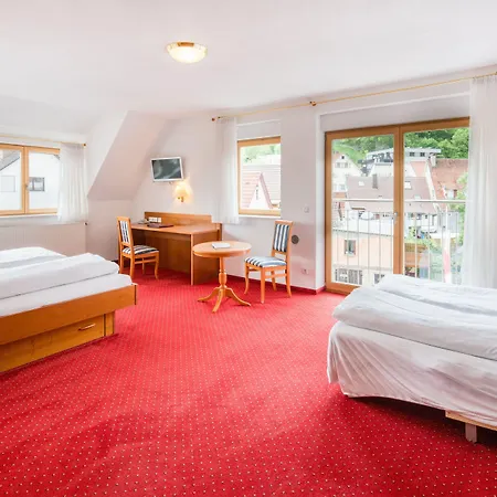 Hotel-restaurant Ochsen Hotel