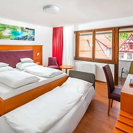 فندق Hotel-restaurant Ochsen 3*