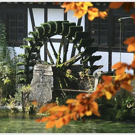 Hotel-restaurant Ochsen