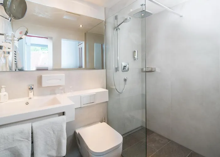 Hotel-restaurant Ochsen