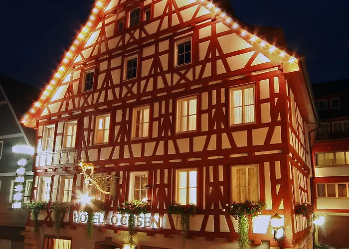 Hotel-restaurant Ochsen